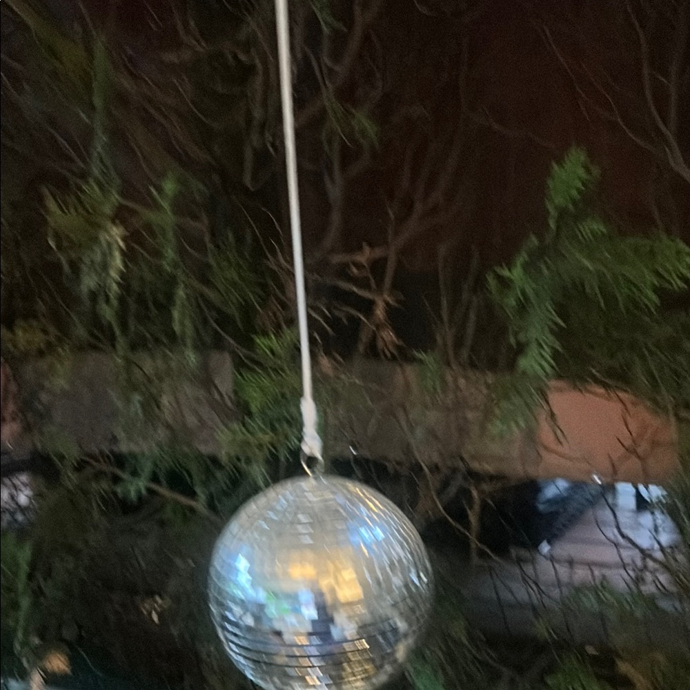Disco Ball - Picture 3 of 4
